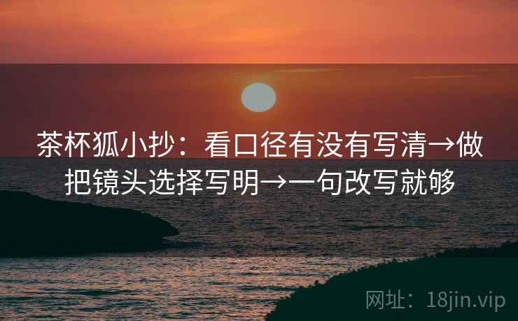 茶杯狐小抄：看口径有没有写清→做把镜头选择写明→一句改写就够